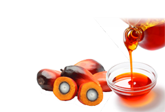 PALM PRODUCT Image